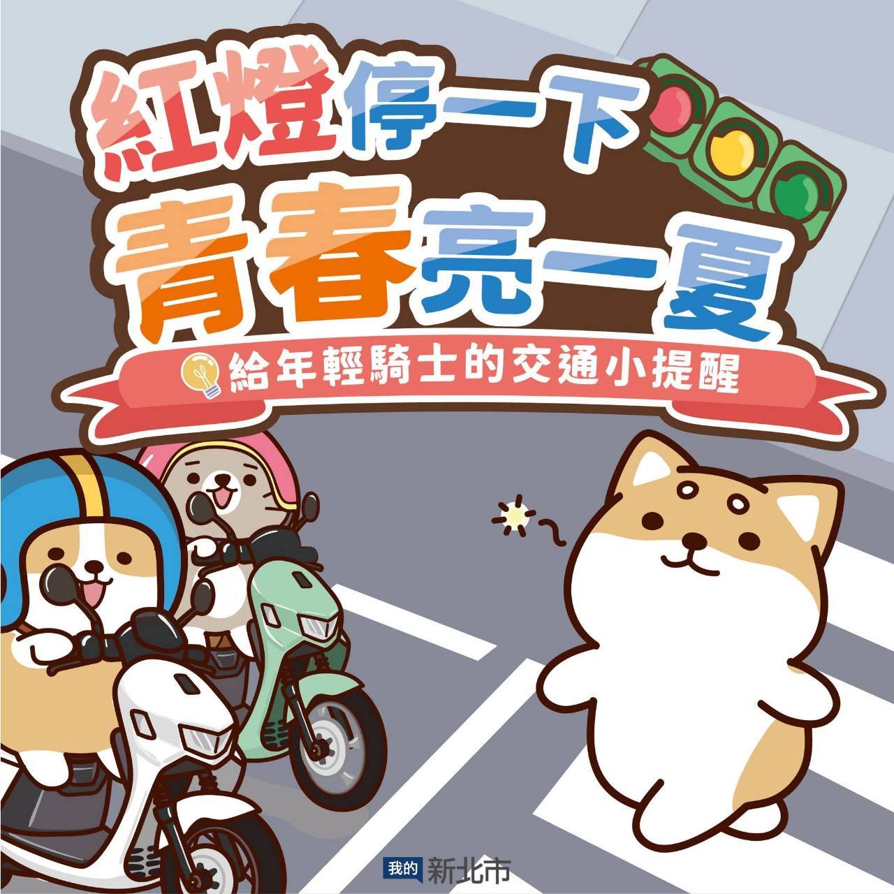 紅燈停一下，青春亮一夏.jpg